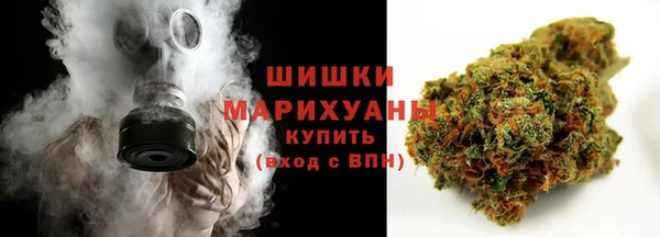 индика Арсеньев