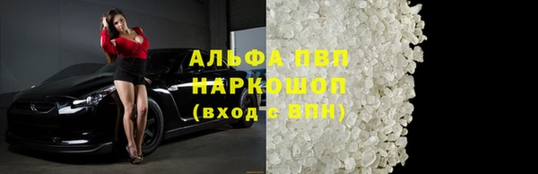 индика Арсеньев