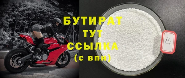 индика Арсеньев