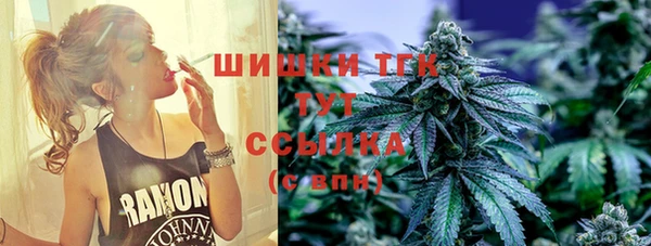 шишки Новокубанск