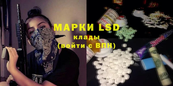 индика Арсеньев
