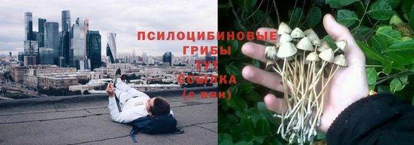 таблы Армянск